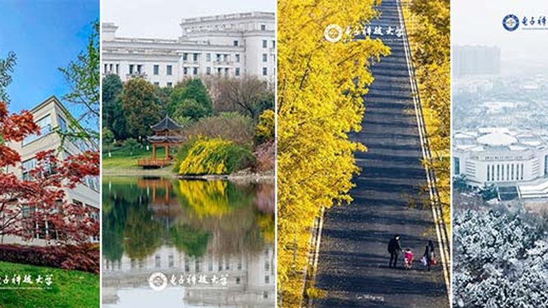 电子配件材质分类解析：揭秘不同材质的奥秘**